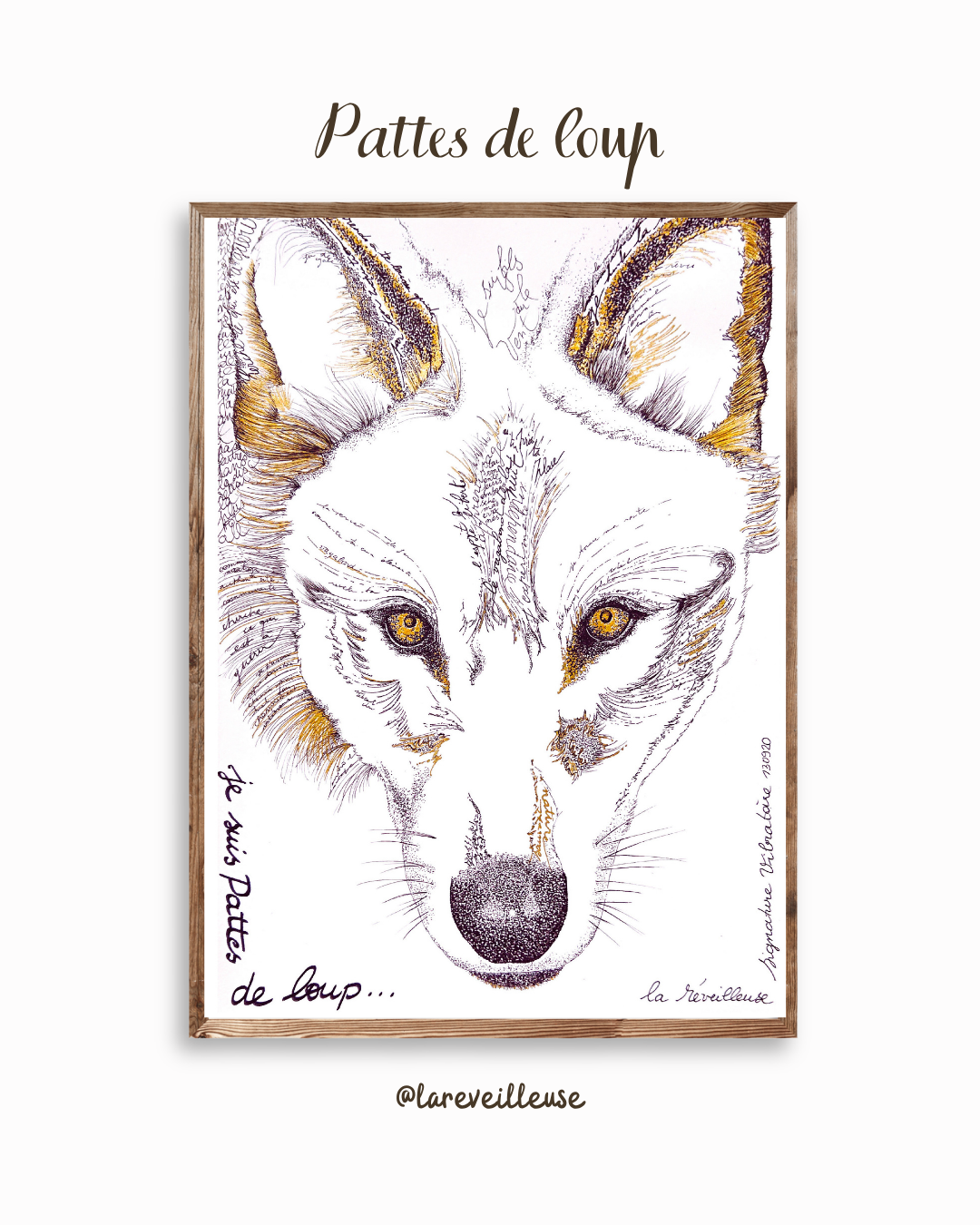"Pattes de Loup", illustration