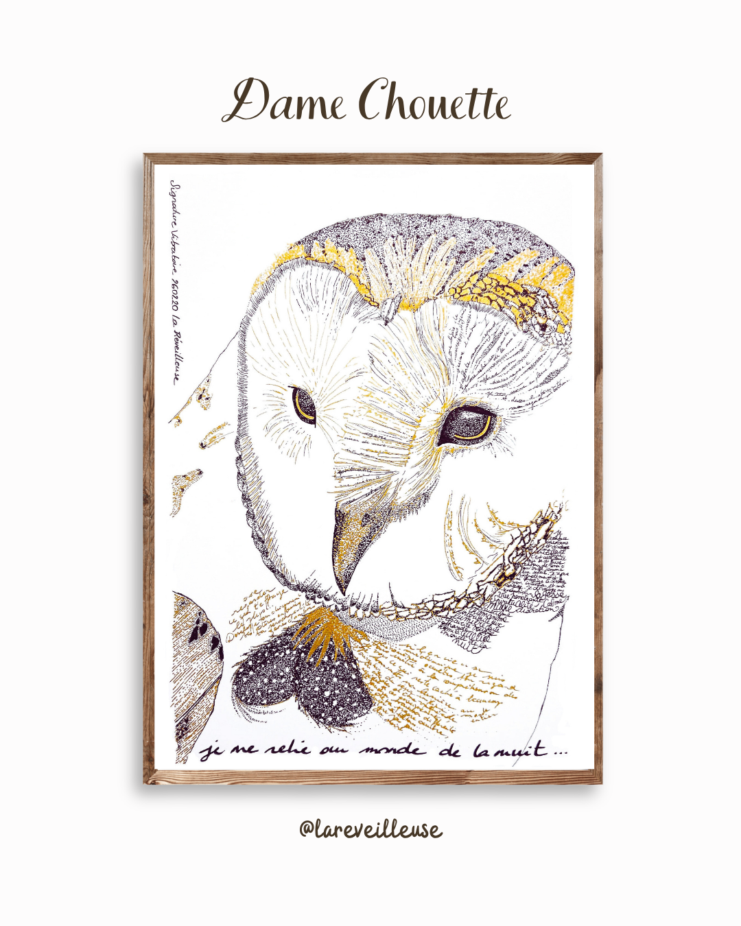"Dame Chouette", illustration