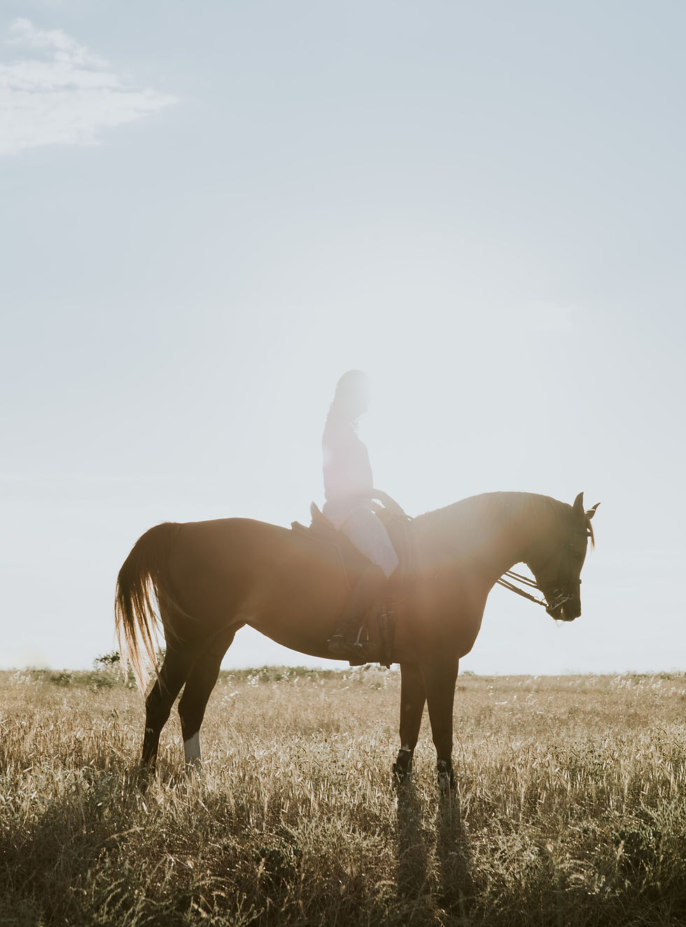 Balade à cheval