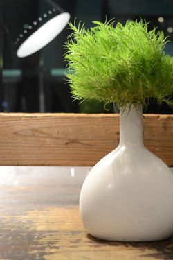 vase