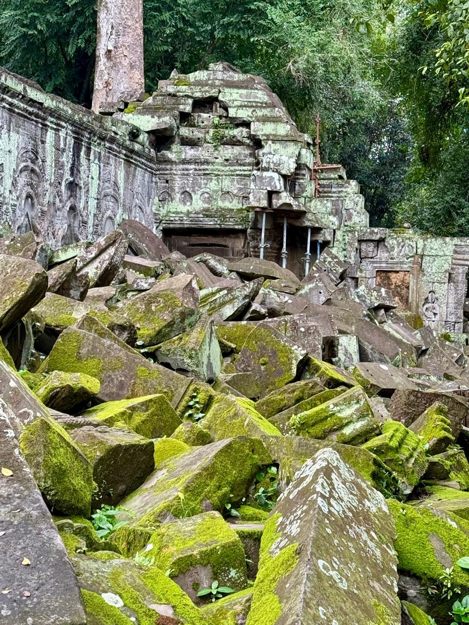 Tomb Raider Temple Ta Prohm
