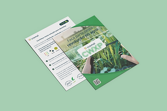 mockup-flyer.png