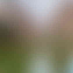 Eingang zum Wadi Stab