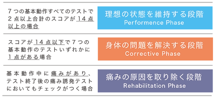 パフォーマンスピラミッド(フェーズ).png