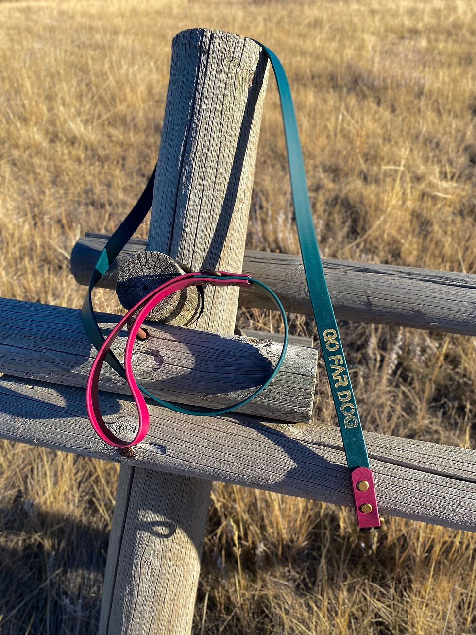 Thumbnail: Biothane Sport Set: Leash, collar & traffic lead [Emerald & Wine- 2 options]