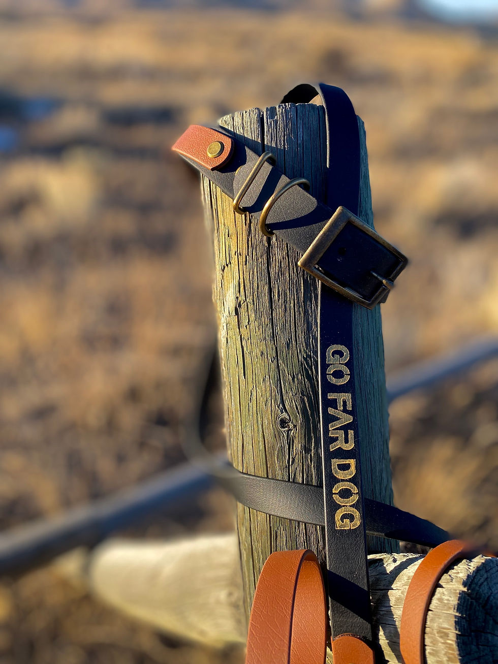 Thumbnail: Biothane Sport set: Leash, collar & traffic lead [Obsidian & Caramel]