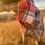Thumbnail: The Plaid About You