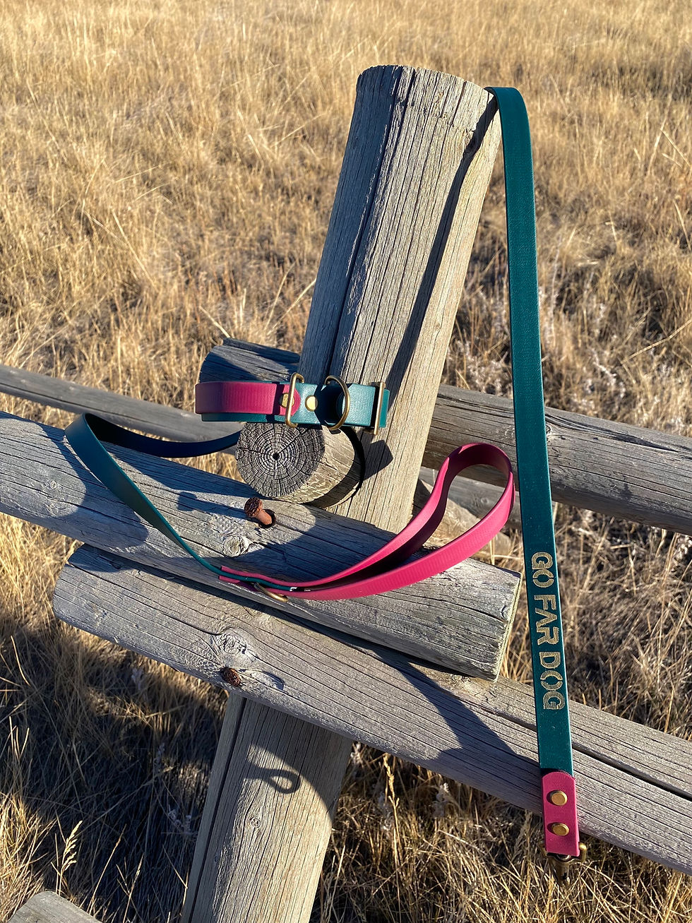 Thumbnail: Biothane Sport Set: Leash, collar & traffic lead [Emerald & Wine- 2 options]