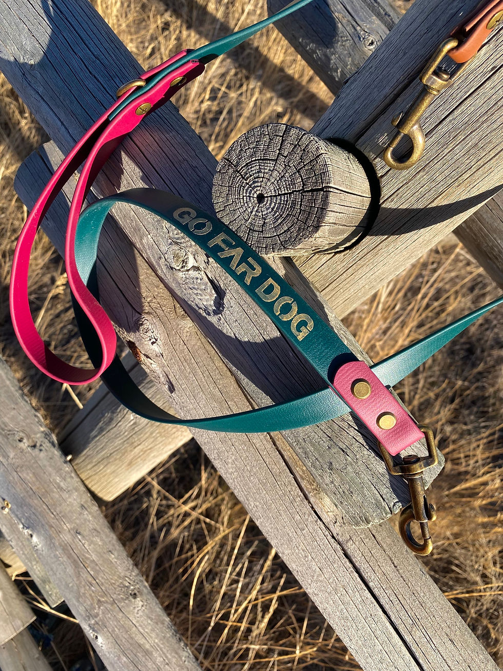 Thumbnail: Biothane Sport Set: Leash, collar & traffic lead [Emerald & Wine- 2 options]