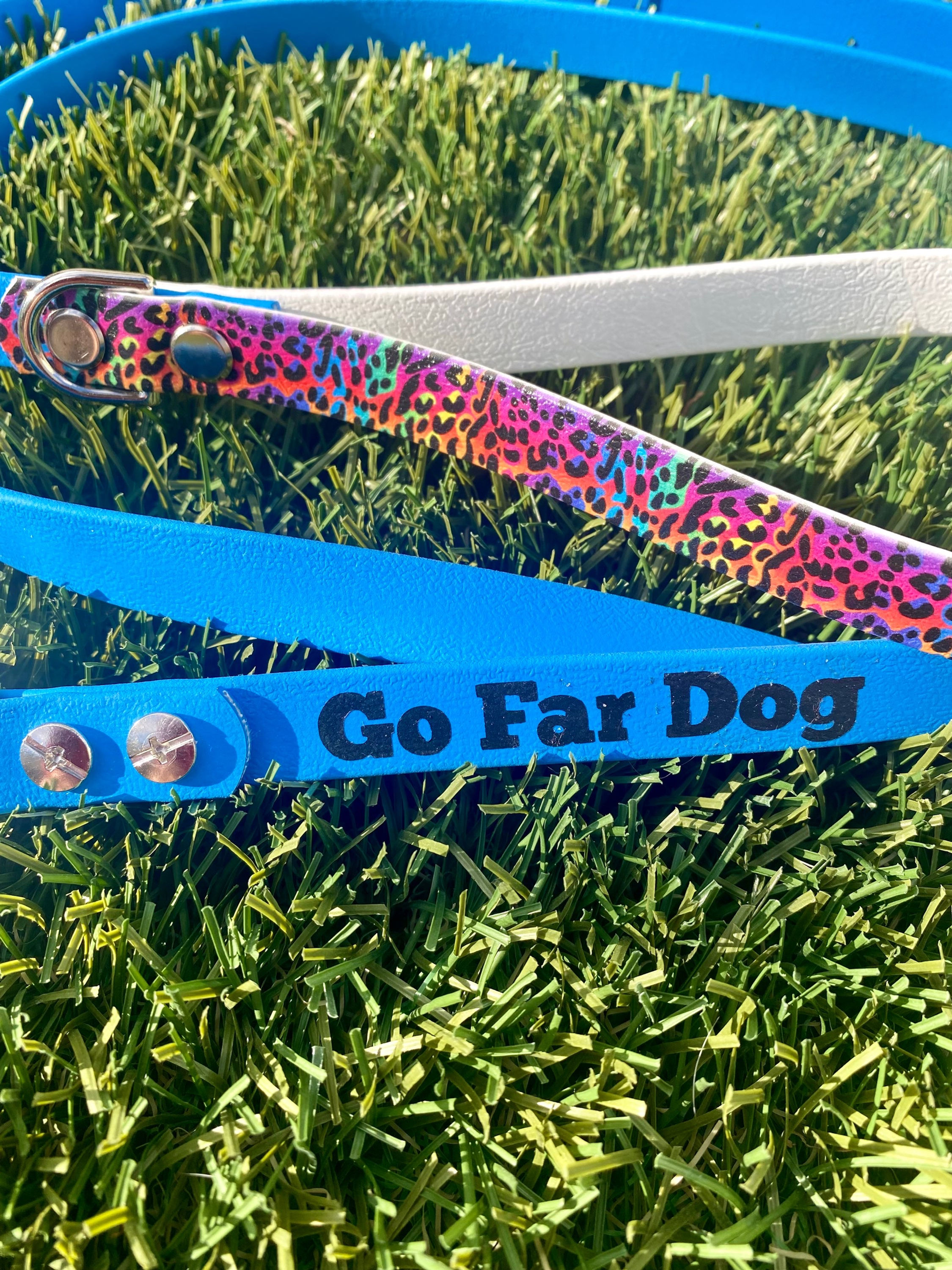 Leash: Lisa Frankfurter (color options)