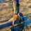 Thumbnail: Biothane Sport set: Leash, collar & traffic lead [Obsidian & Caramel]