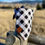 Thumbnail: The Plaid About You