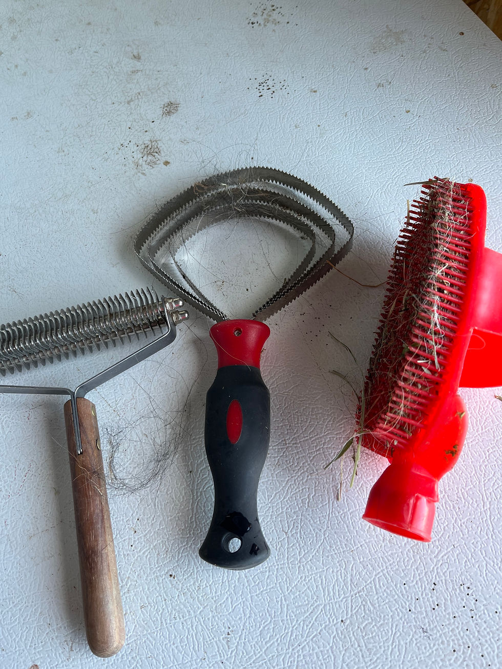 three mini cow grooming tools