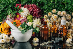fleurs-bach