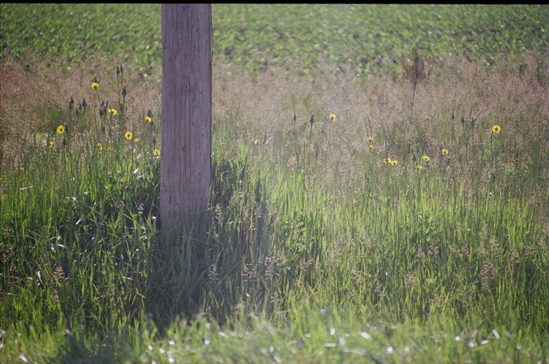 35mm
