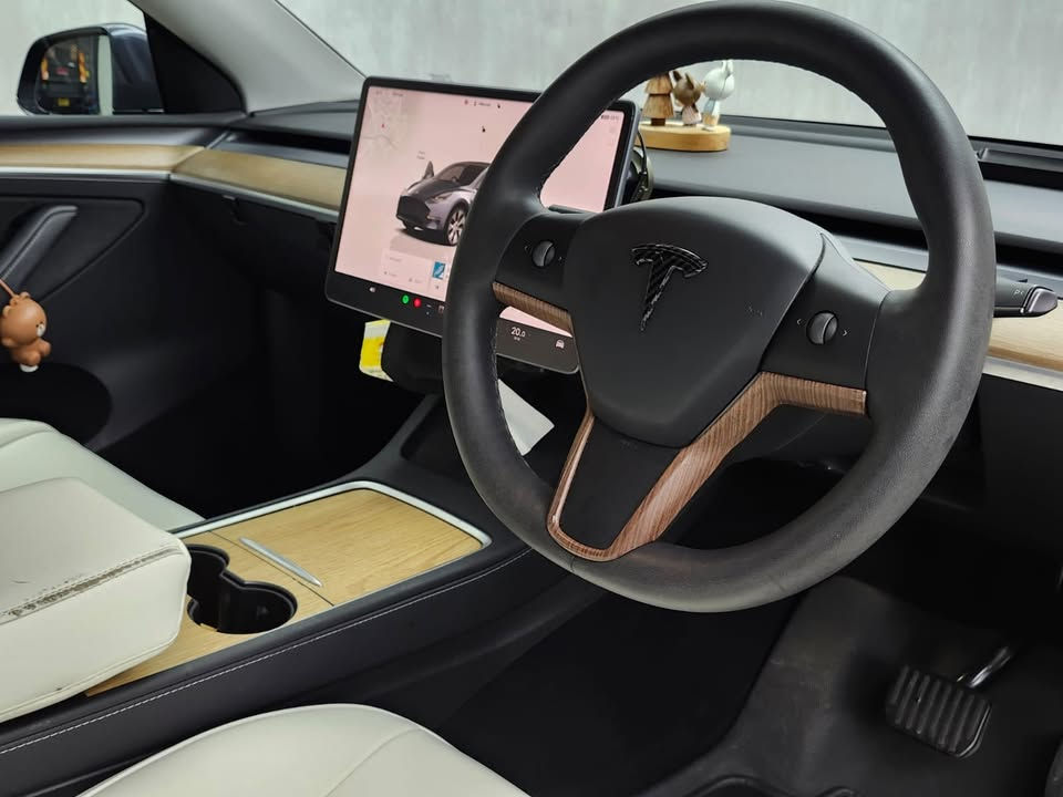 縮圖：2022 TESLA MODEL Y SR