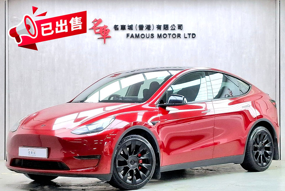 2021 TESLA MODEL Y LR