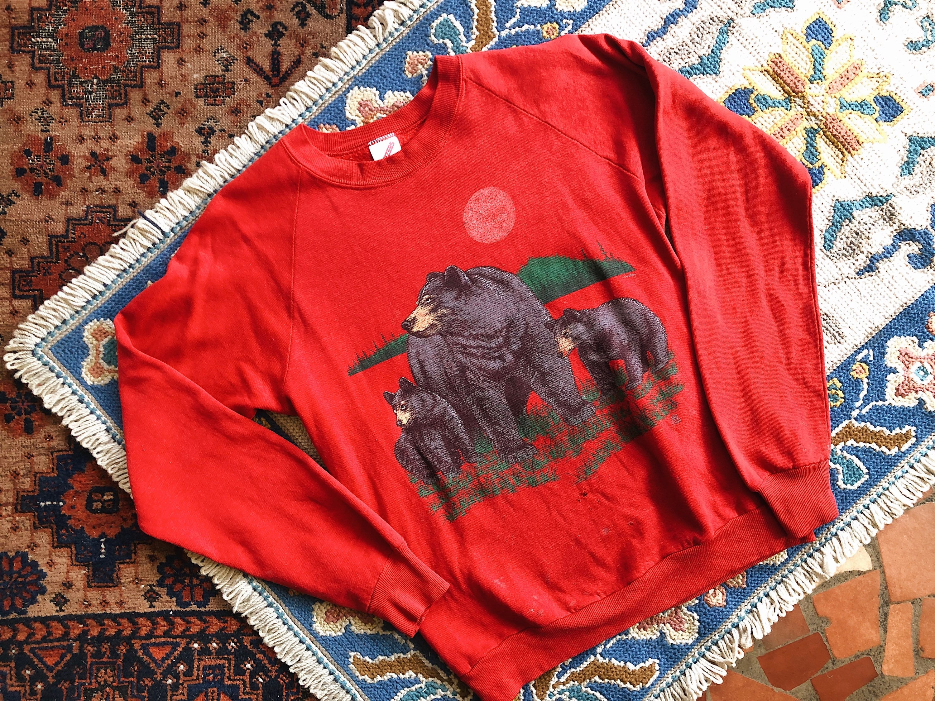 Bear and Her Cubs Pullover