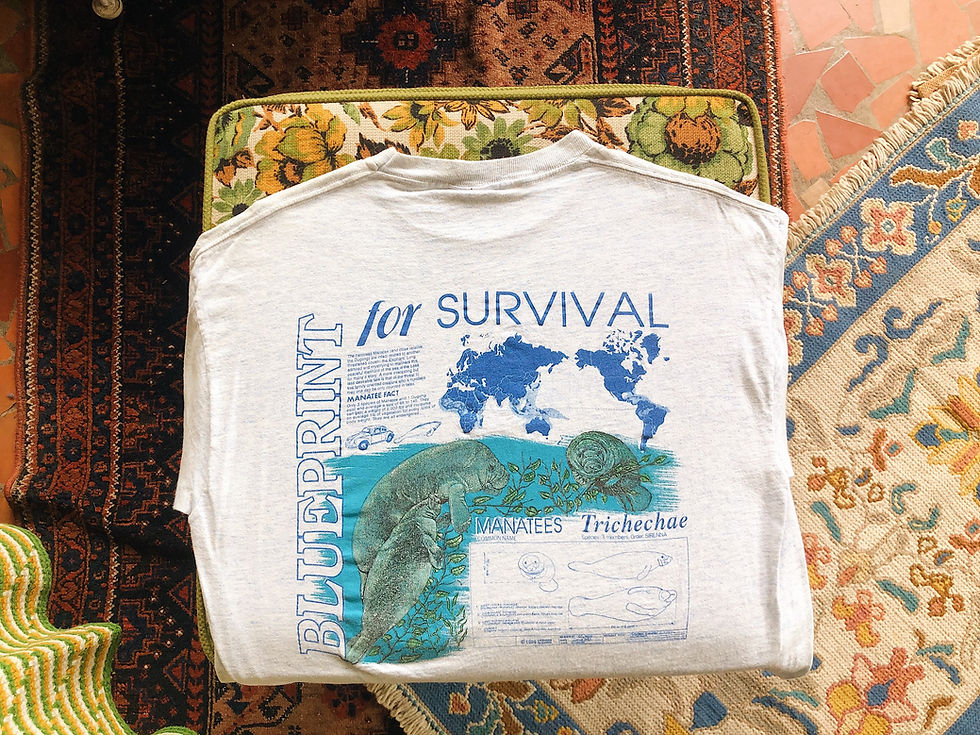 Miniatura: 1995 Blueprint Tee
