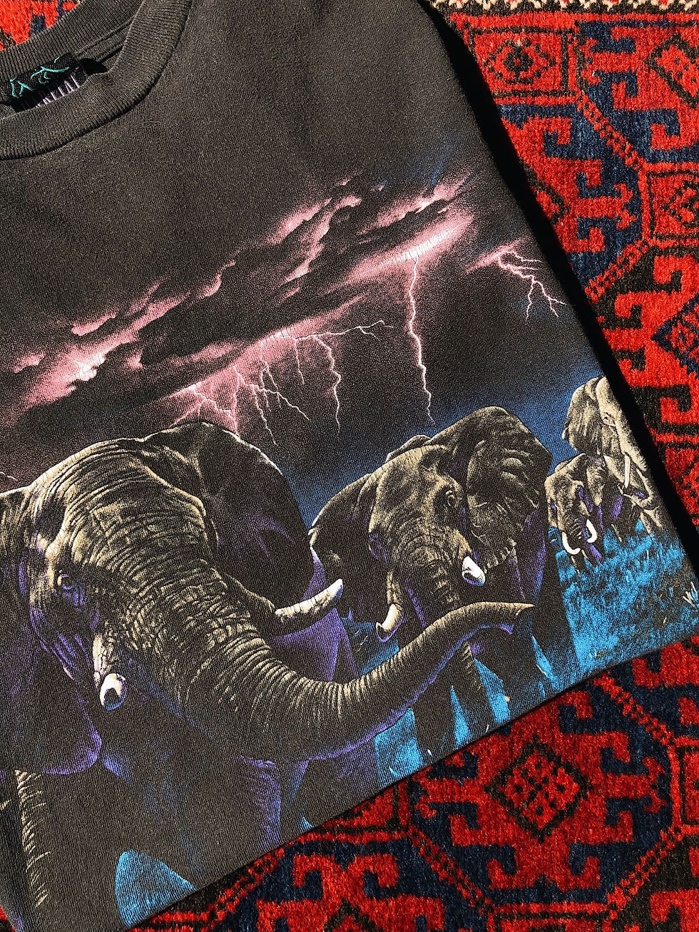 Miniatura: Impresión 360 de Busch Gardens