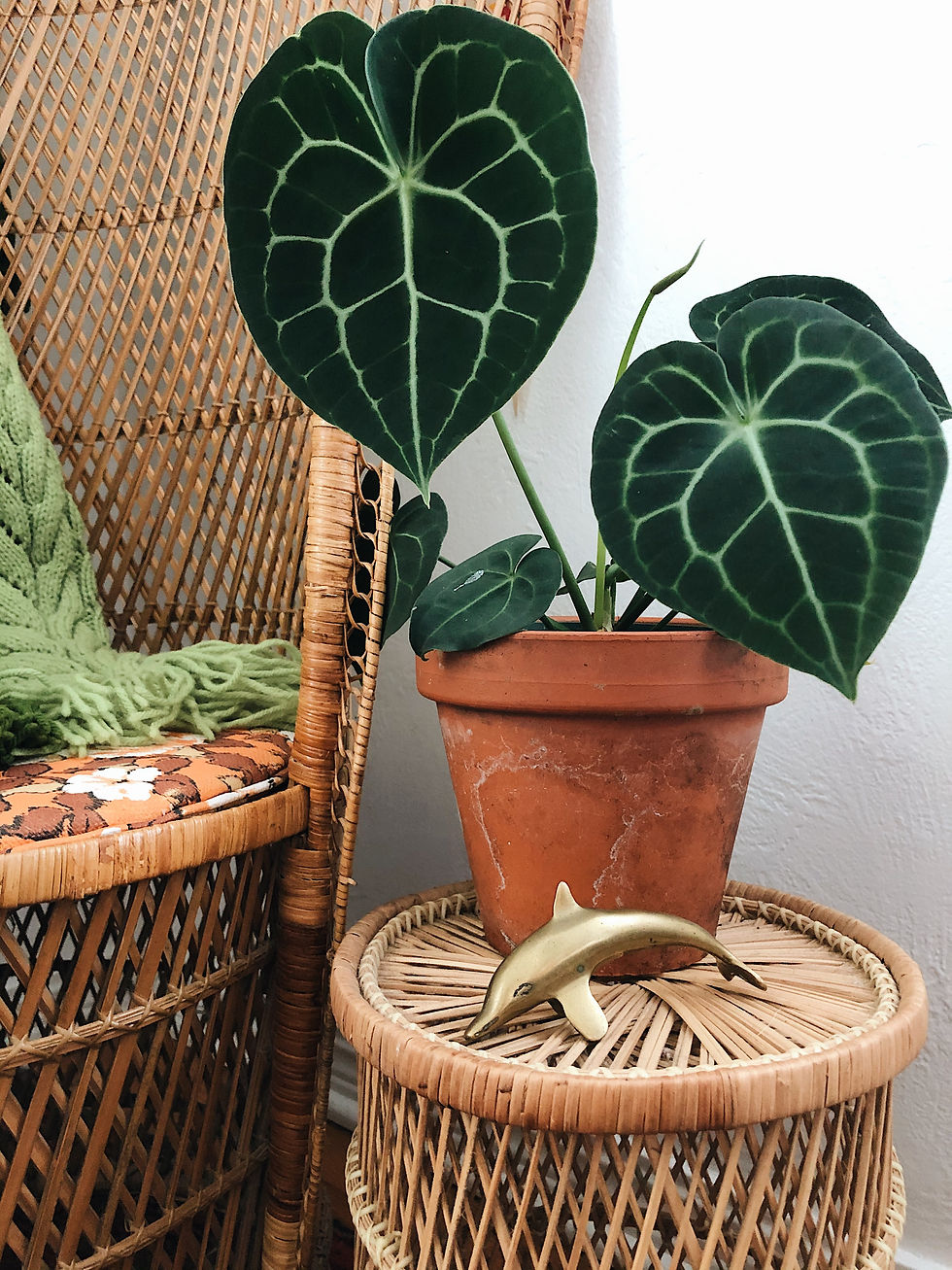 Miniatura: Small Brass Dolphin