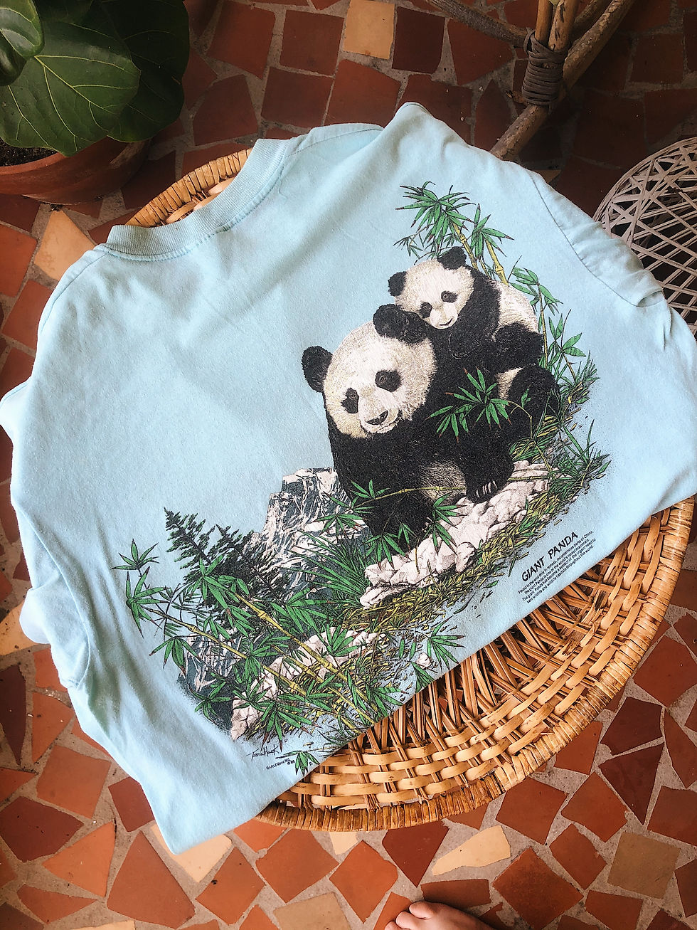 Miniatura: The National Zoo Giant Panda Tee