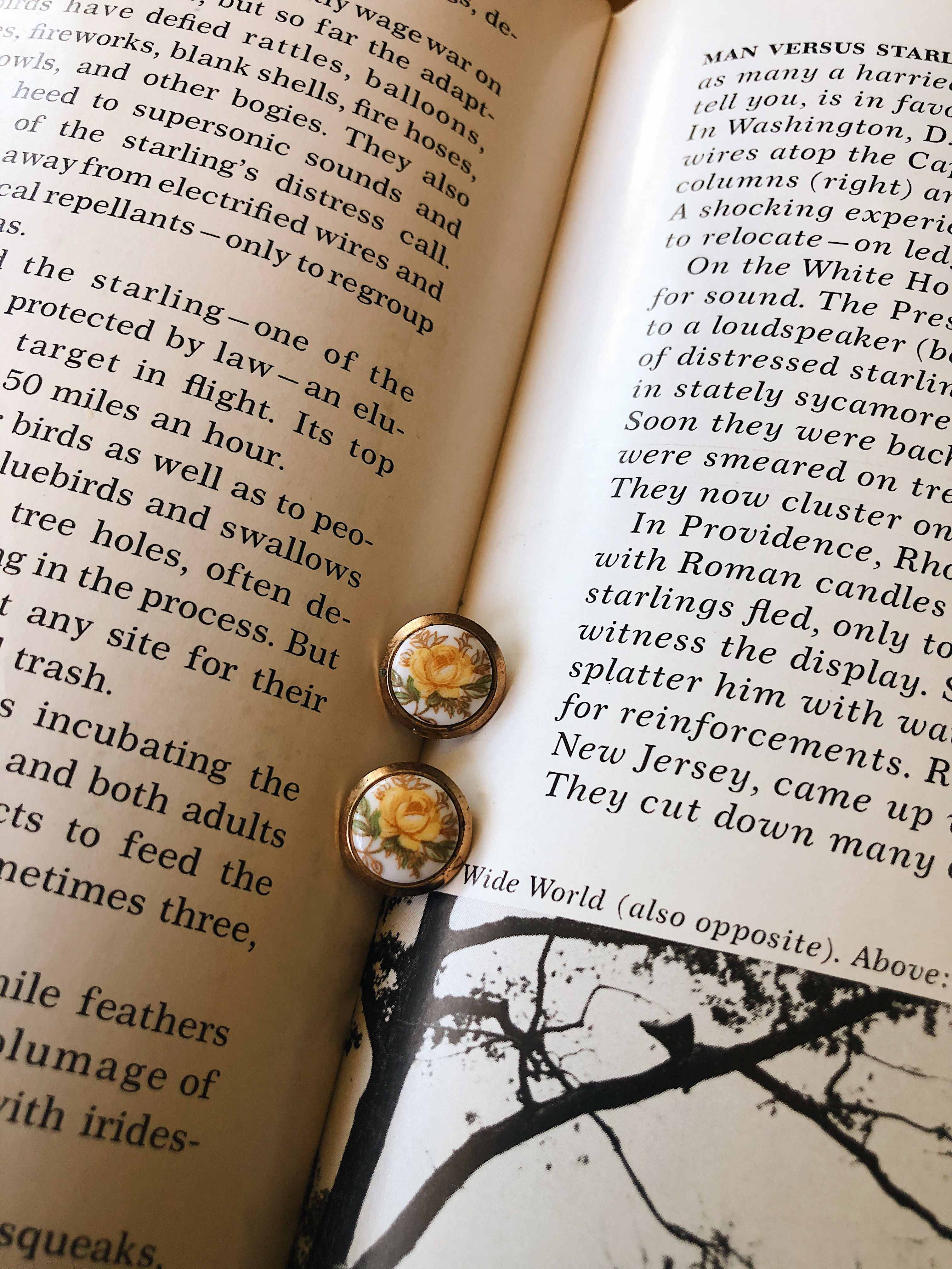 Floral Stud Earrings