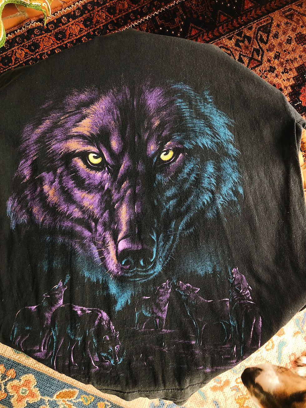 Miniatura: 1996 Florida Wolf Tee