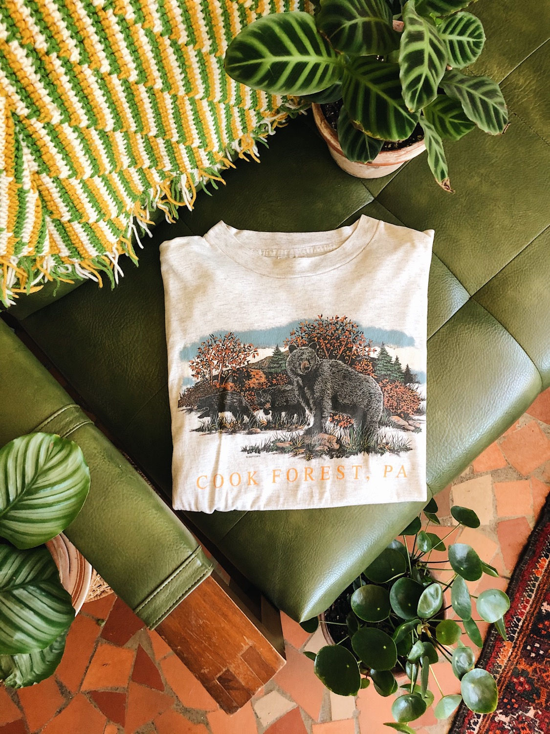 Bears - Cook Forest PA