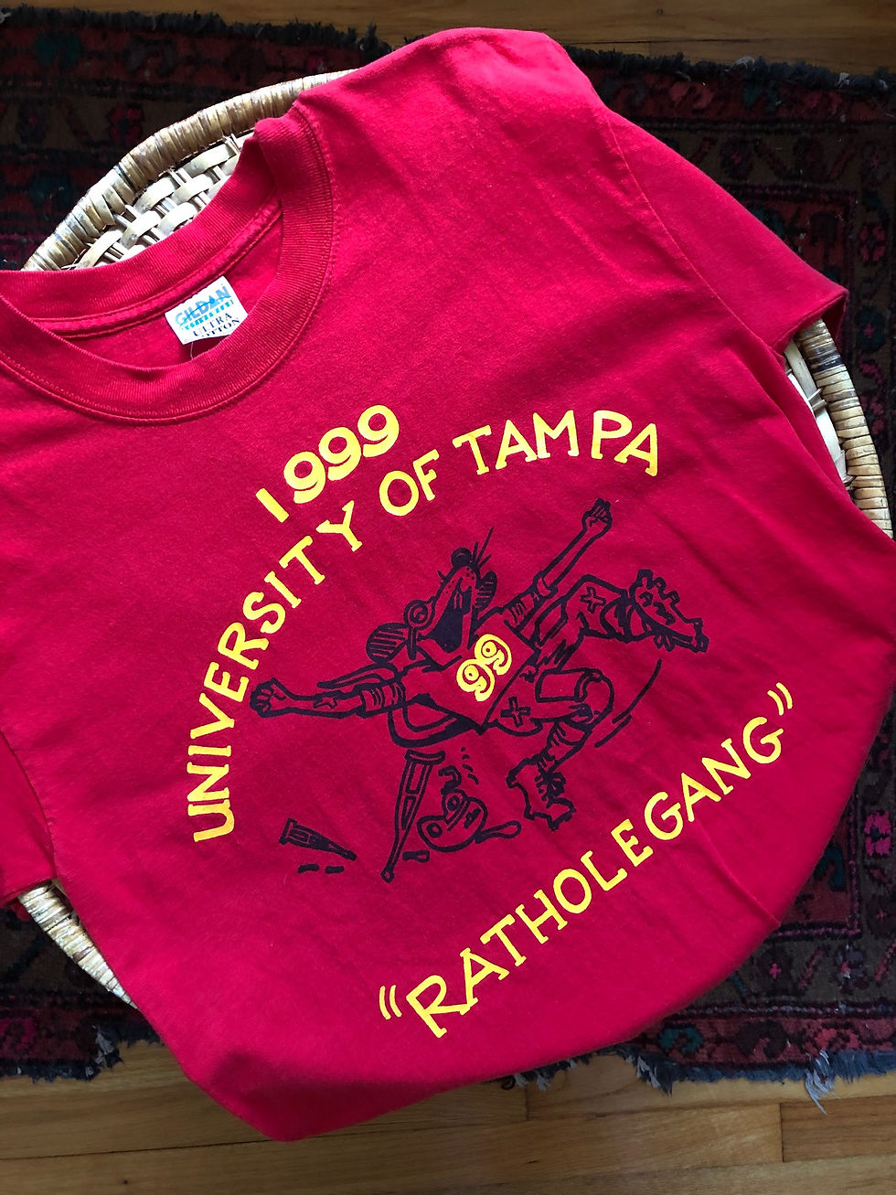 Miniatura: 1999 University of Tampa
