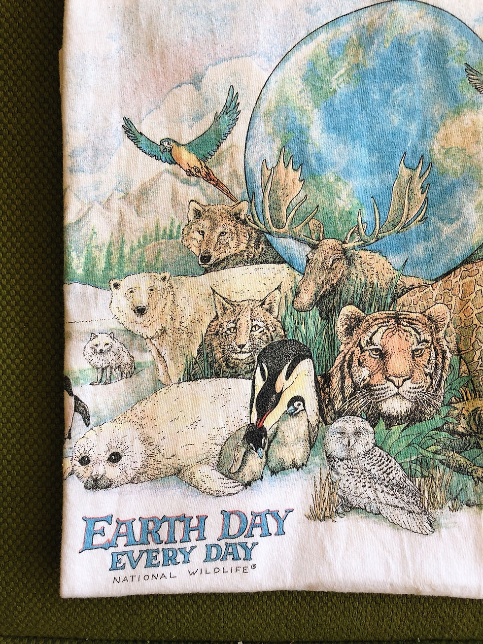 Miniatura: Earth Day Every Day National Wildlife Foundation