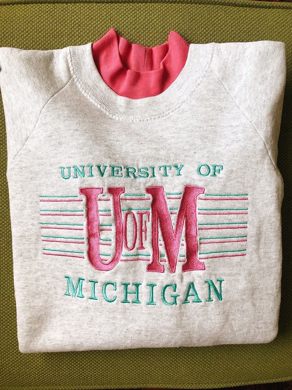 Miniatura: University of Michigan Pullover