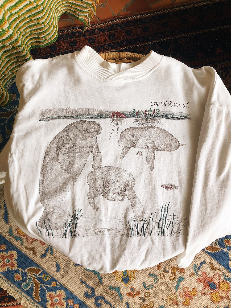 Miniatura: Manatee Pullover