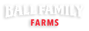 BFF_Logos_ALL-2_1_lettersWR_2Shadow (2).
