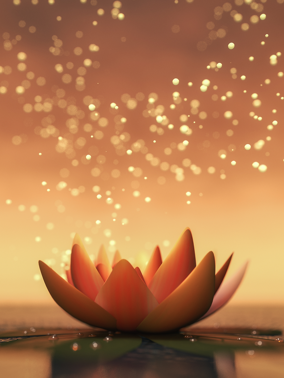 Emotional Integration Coaching Christine Volkmer.png