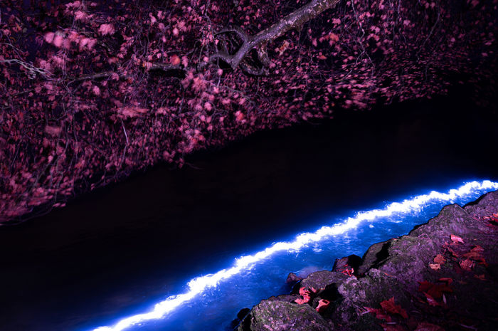 Photograph by Yurii Hurych, 15 of 19
