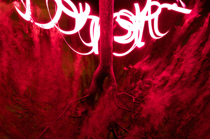 Photograph by Yurii Hurych, 5 of 19
