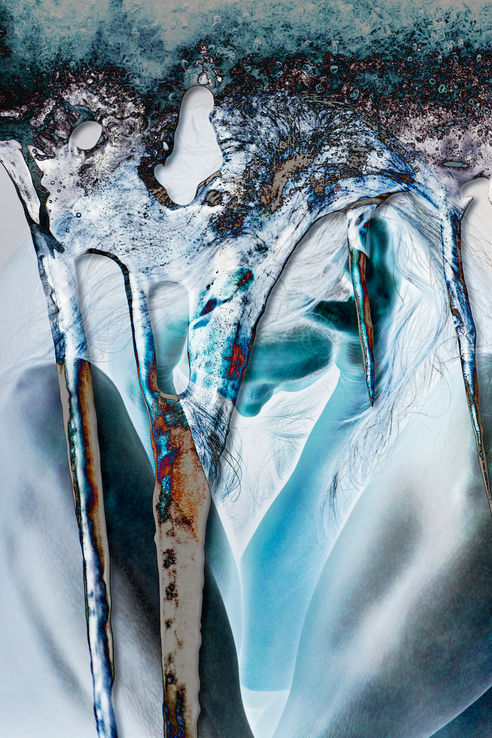 Shannon Maltbie-Davis