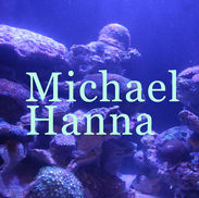 michael hanna