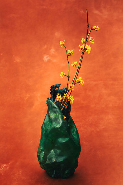 Photograph by Yulia Kapustynska, 5 of 20