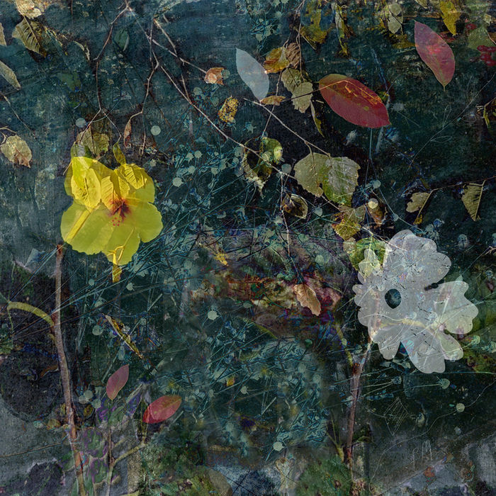 Pamela Moore (Montclair, NJ) - As Darkness Fell