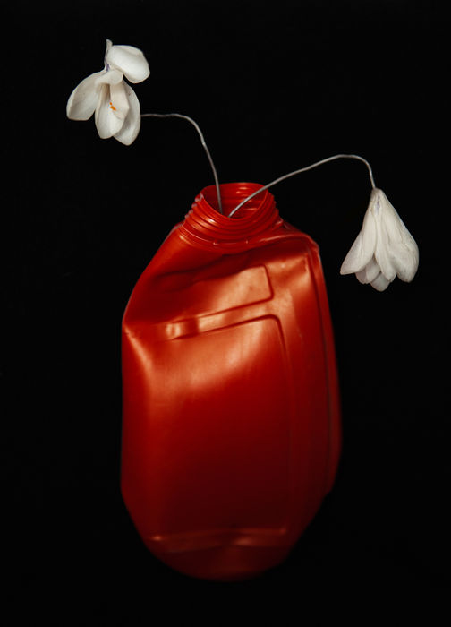 The Beauty of Still Life