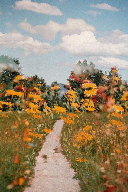 Waedenswil, Switzerland
Meadow Daydream

I'm Leah, an American photographer working in both digital and 35mm film. While my work spans a range of genres—including street, travel, abstract, and minimalism—I have a special connection to blooms and botanicals. There’s something enduring and grounding in photographing the natural world, especially the quiet details of plant life. My background in anthropology and years spent living abroad have shaped how I see—attuned to patterns, rituals, and the ways people interact with their environments. Since relocating to Switzerland in 2016, the surrounding landscapes and seasons have deepened my appreciation for nature as both subject and collaborator. Whether capturing the layered textures of a flower or the spontaneous rhythm of a city street, my approach balances technical precision with curiosity and care. I use both film and digital to explore light, form, and emotion—always seeking images that feel honest and immersive. My work has been exhibited internationally, featured by over 160 platforms, and recognized in global photography competitions. I’ve also dedicated a portfolio area specifically to ‘Blooms,’ reflecting their ongoing presence and inspiration in my practice.