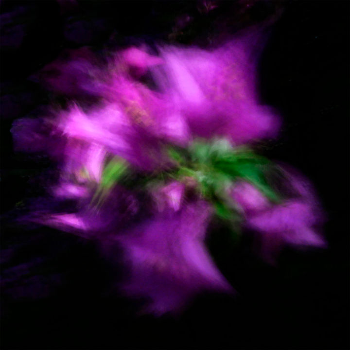 Luca Scarpelli - Abstract Nature_70 - Slowly rolling camera 30