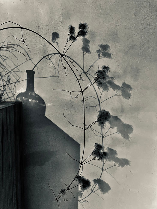 Botanicals