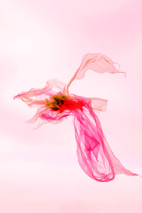 Photograph by Yulia Kapustynska, 9 of 20