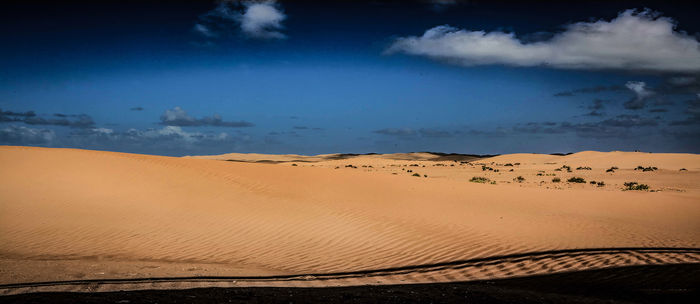 Sahara