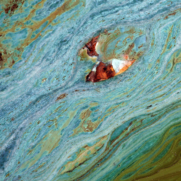 Photograph by Artur Jastrzębski, 3 of 4