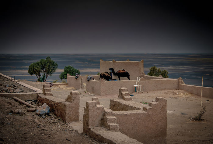 Sahara