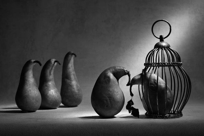 Photograph by Victoria Glinka, 6 of 21